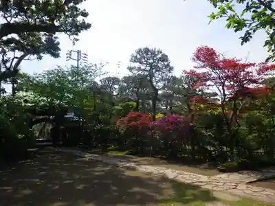 教恩寺のその他建物