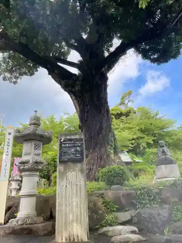 長谷寺の御朱印