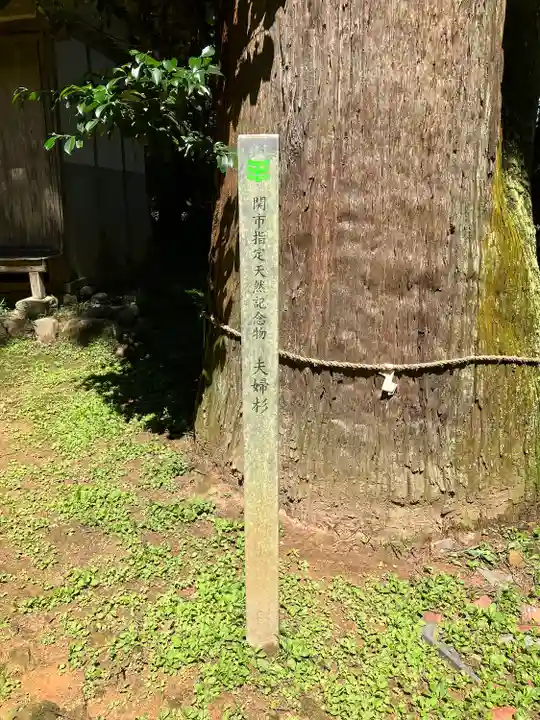 大跡部神社(岐阜県)