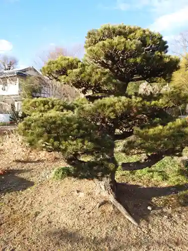 興聖寺(栃木県)