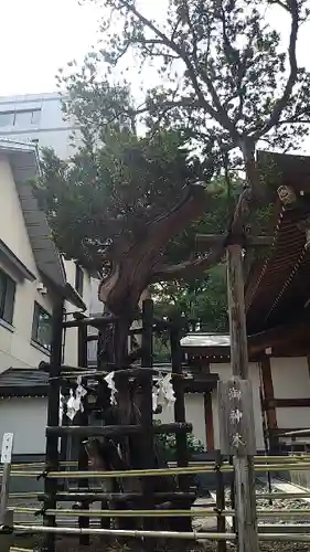 歌懸稲荷神社の自然