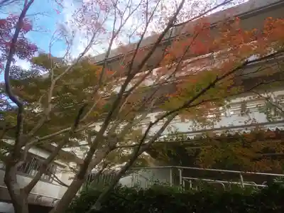 宗像大社のその他建物