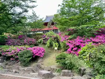 清水観音堂(東京都)