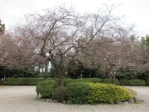 櫻木神社の庭園