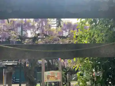 國領神社のその他建物