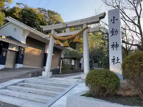 小動神社の鳥居