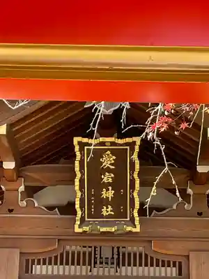 愛宕神社の本殿・本堂