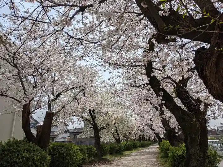 伊多波刀神社(愛知県)