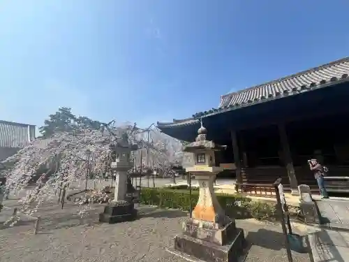 道成寺(和歌山県)