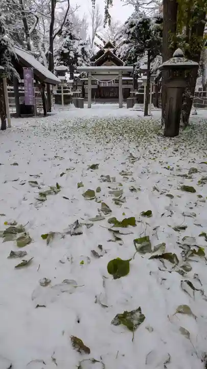 新琴似神社(北海道)