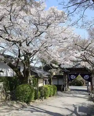 西教寺(滋賀県)