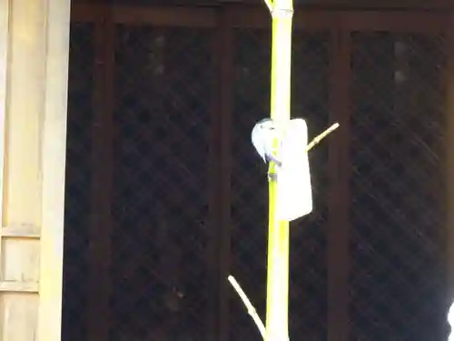 白笹稲荷神社の動物