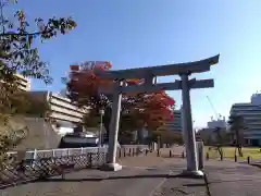 福井神社(福井県)