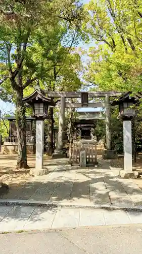 白幡天神社の鳥居