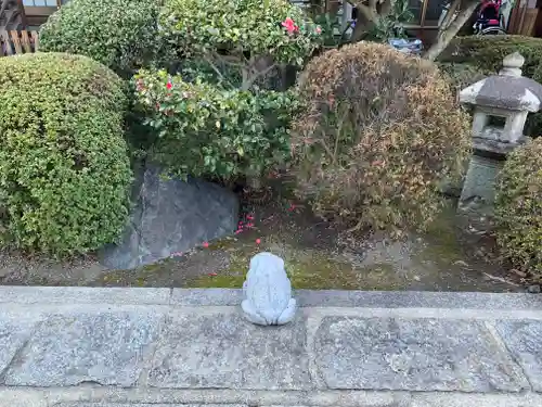 本正寺の庭園