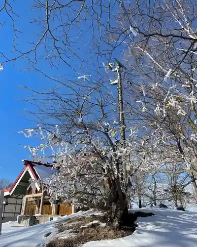 釧路一之宮 厳島神社のおみくじ