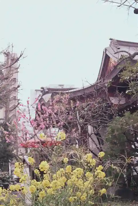 素盞雄神社の自然