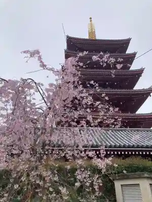 浅草寺(東京都)