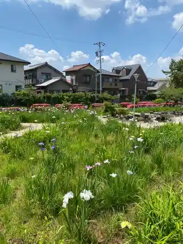 知立神社の自然
