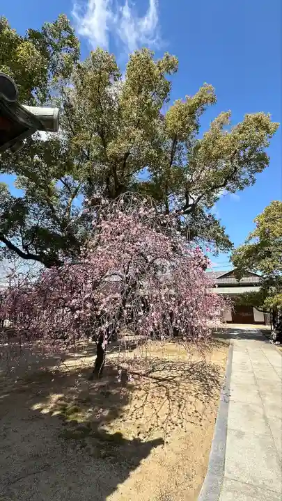 屯倉神社(大阪府)