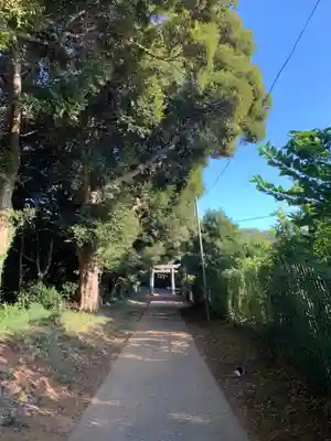 瀧大神(千葉県)