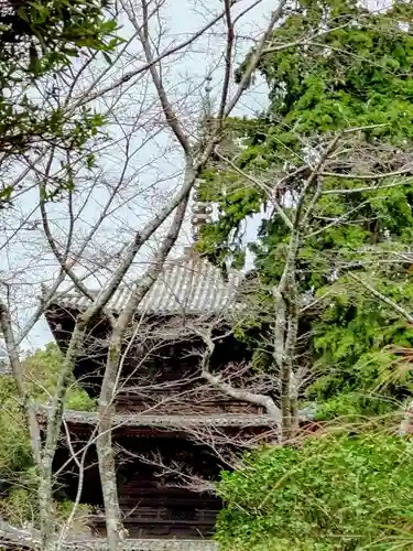 園城寺（三井寺）(滋賀県)