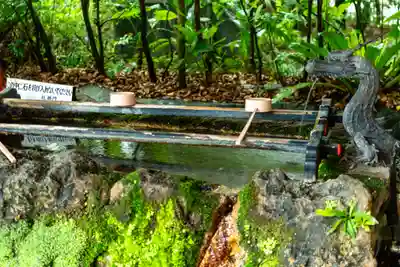 枚聞神社(鹿児島県)