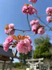 鹿島台神社の自然