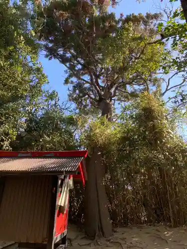 若宮八幡神社(千葉県)