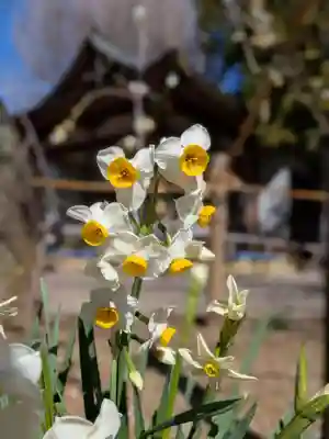 鳩森八幡神社(東京都)