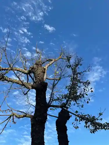 葛原神社の自然