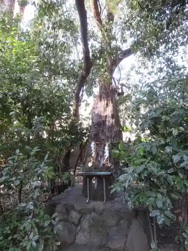 西院春日神社の自然