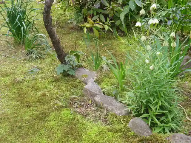 安國論寺(安国論寺)の自然