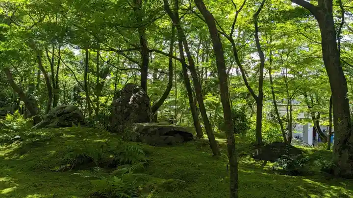 禅林寺(永観堂)(京都府)