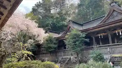 吉野水分神社(吉野町)の本殿・本堂