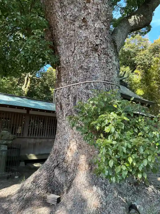 伊達神社(和歌山県)