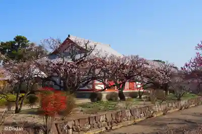 薬師寺(奈良県)