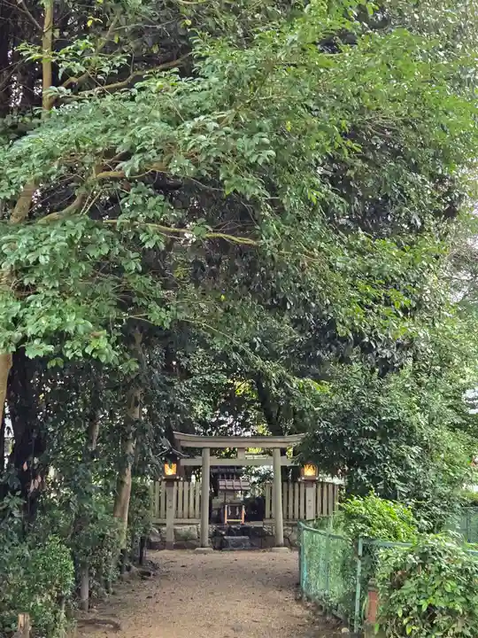 大直禰子神社(奈良県)