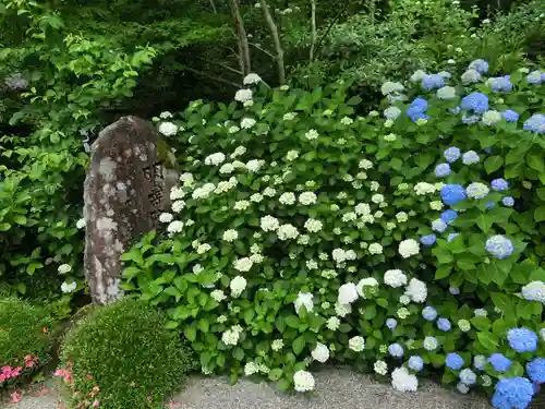 金剛輪寺の自然