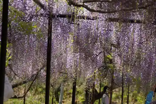 天台宗 五大山 白毫寺(兵庫県)