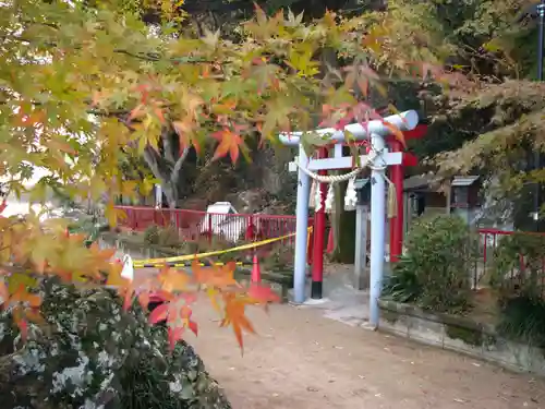 藤ヶ崎龍神社の鳥居