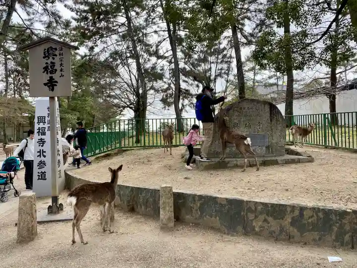 興福寺(奈良県)