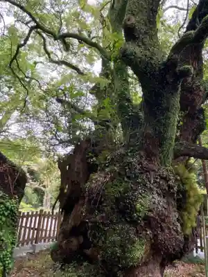 富知六所浅間神社(静岡県)