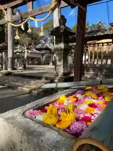 柏原八幡宮の手水舎(2020年12月30日(水) 22時20分03秒投稿)