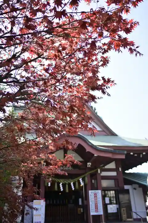 八幡八雲神社(東京都)