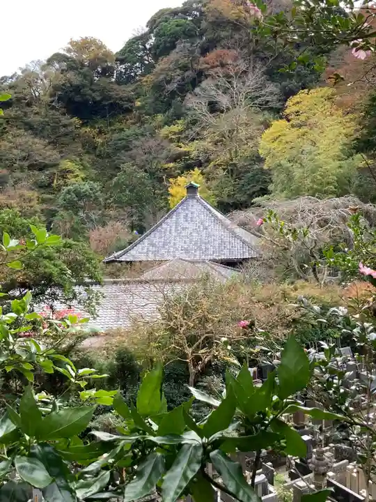 光則寺の本殿・本堂