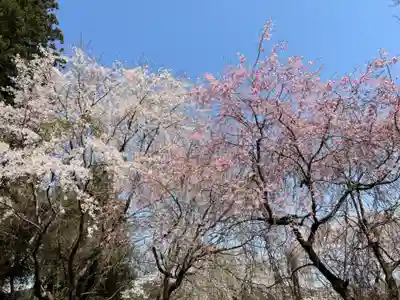 大宮温泉神社(栃木県)