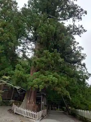 仁科神明宮(長野県)