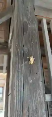 武田廣神社(山梨県)