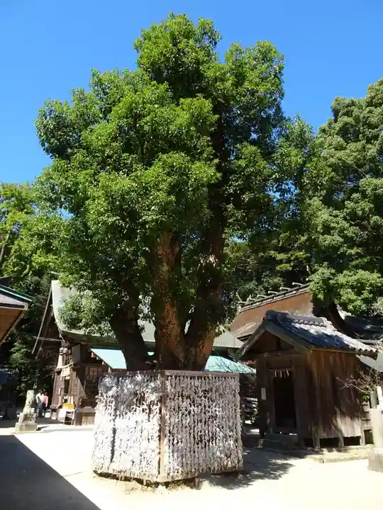 櫻井神社(福岡県)